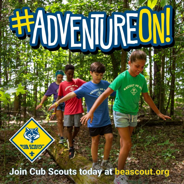 Cub Scouts shareable graphic