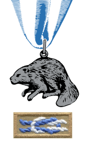 Silver Beaver Award